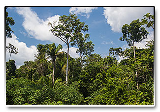 Peru - Amazonie