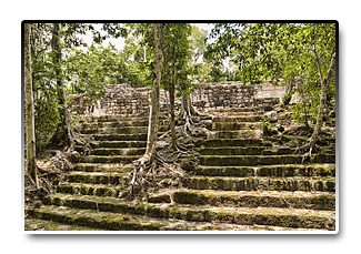 Mexiko - Calakmul, mayské ruiny