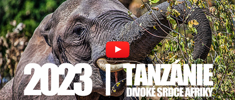 Tanzánie - divoké srdce Afriky