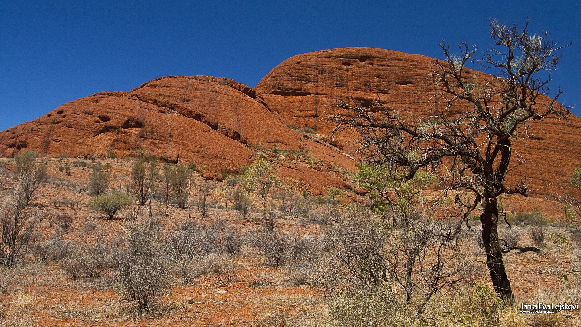 Tapeta na plochu, Austrálie - Kata Tjuta