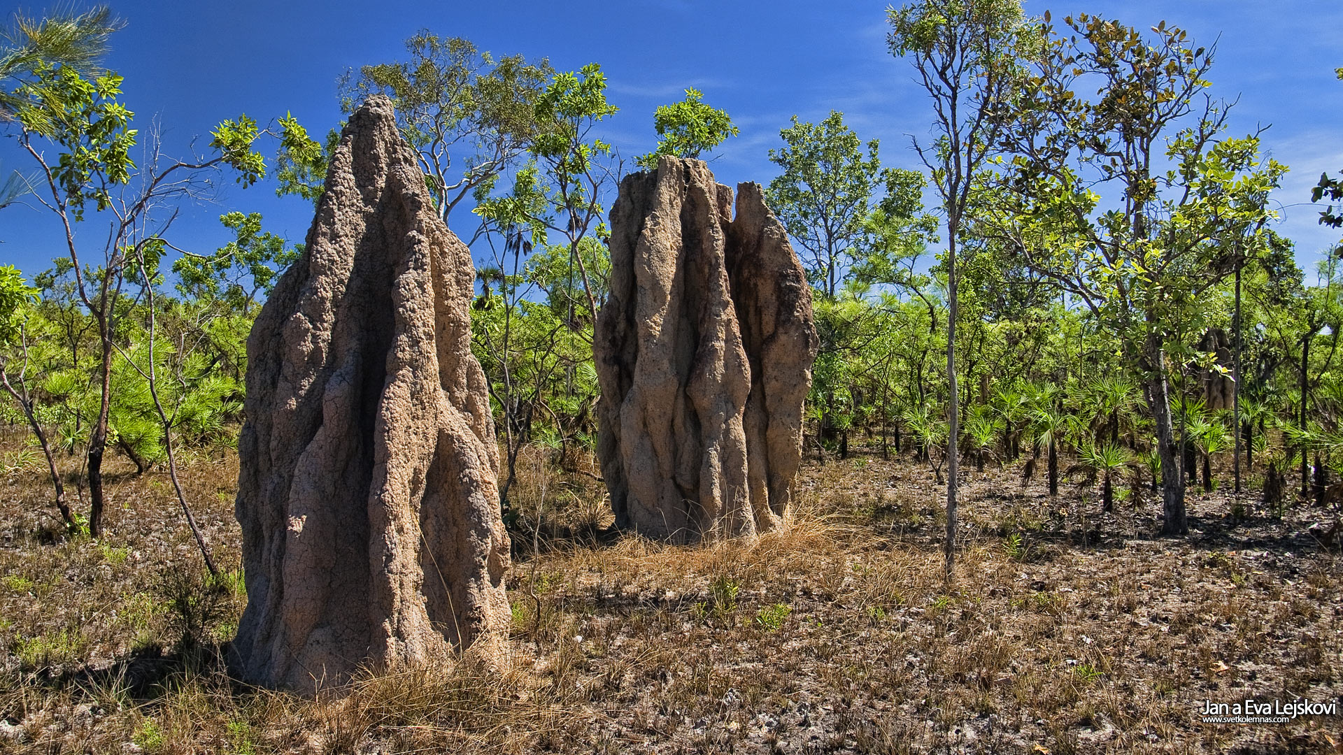 Tapeta na plochu, Austrálie - Národní Park Litchfield