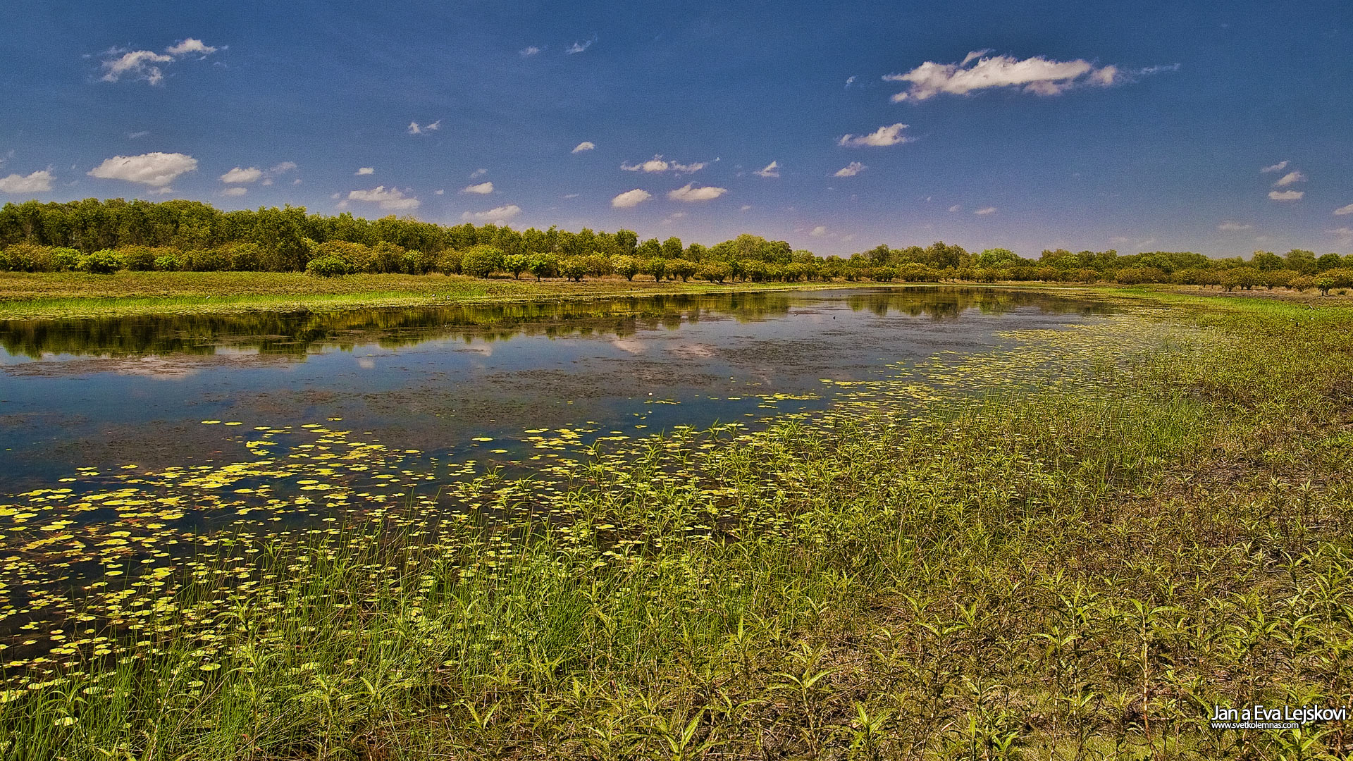 Tapeta na plochu, Austrálie - Billabong, Národní Park Kakadu