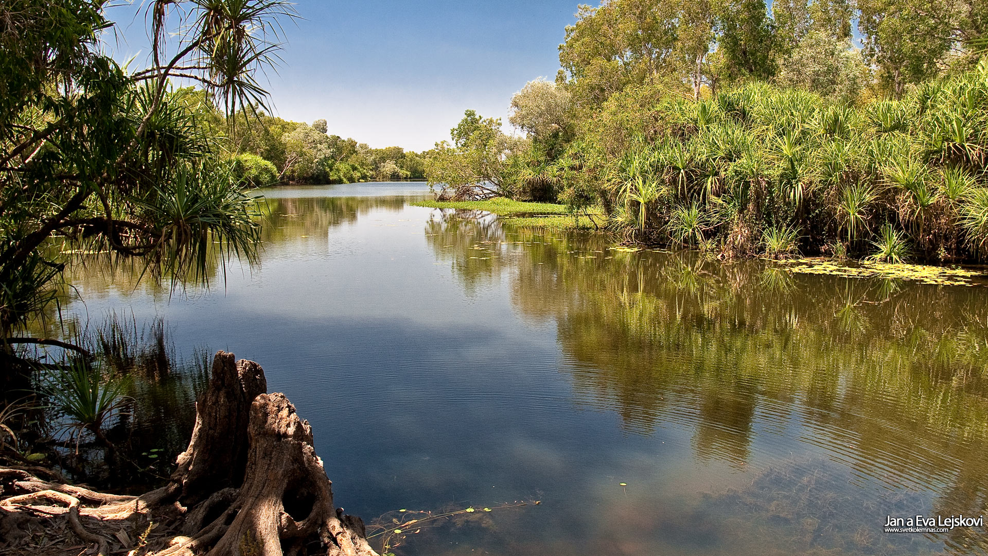 Tapeta na plochu, Austrálie - Yellow water billabong