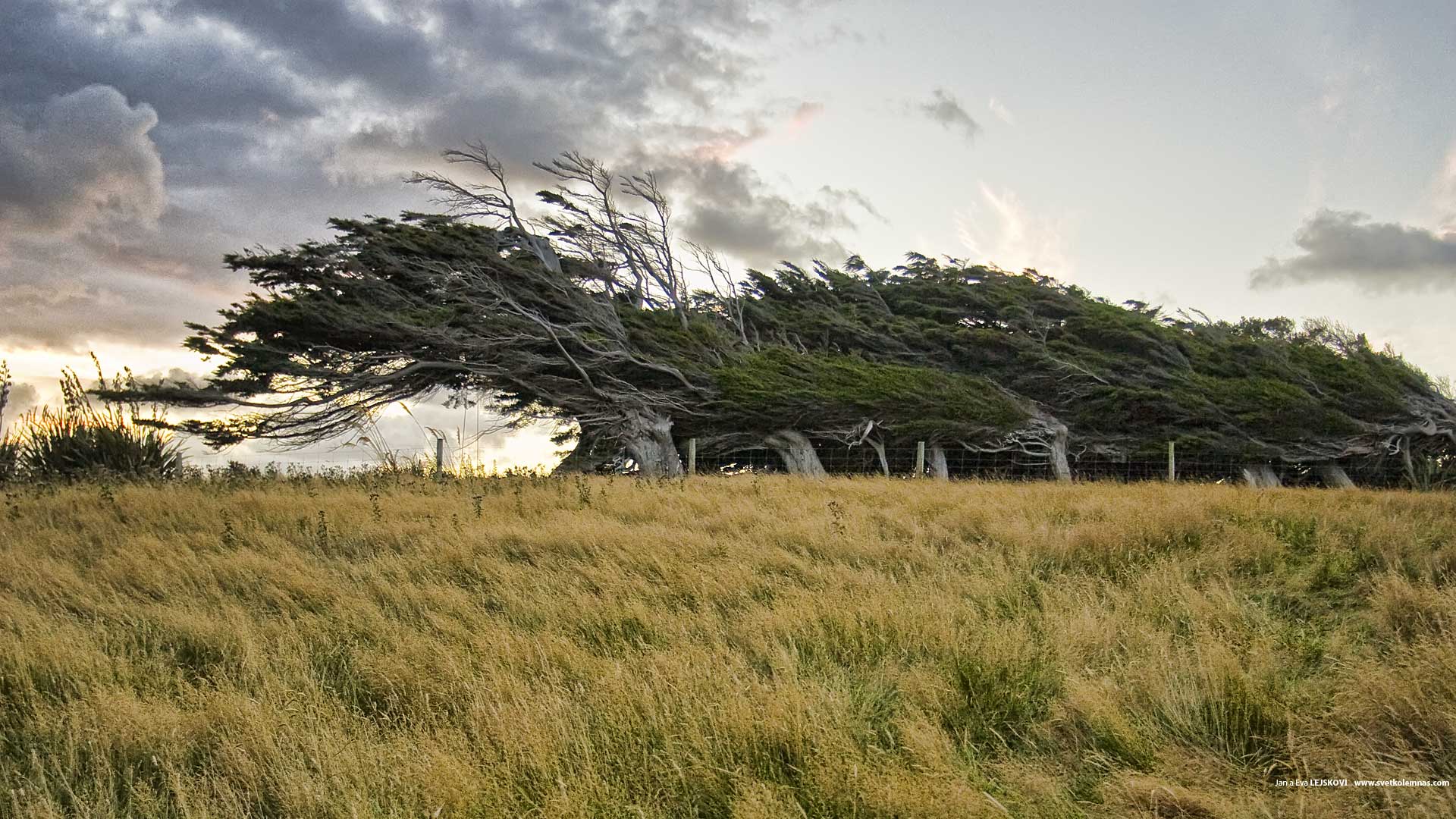 Nový Zéland, Catlins